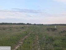 Działka budowlana Garbatka. Zdjęcie 3