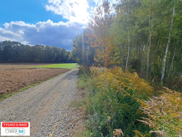 Działka siedliskowa Łagów. Zdjęcie 1