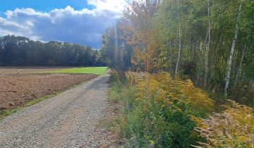 Działka siedliskowa Łagów