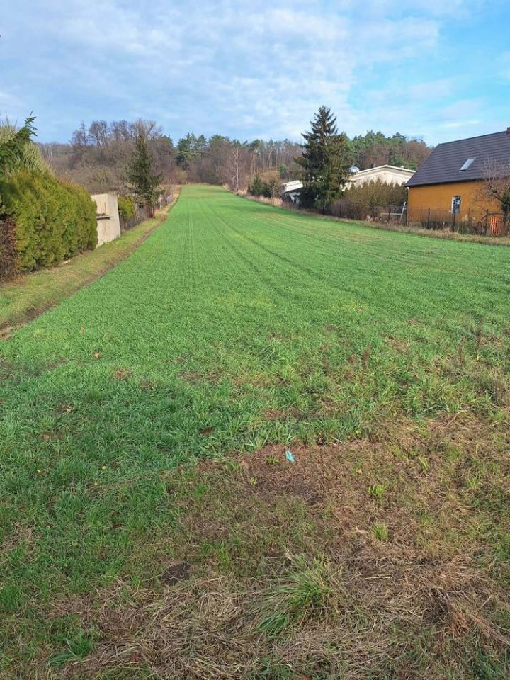 Działka rolna Dymaczewo Stare. Zdjęcie 2