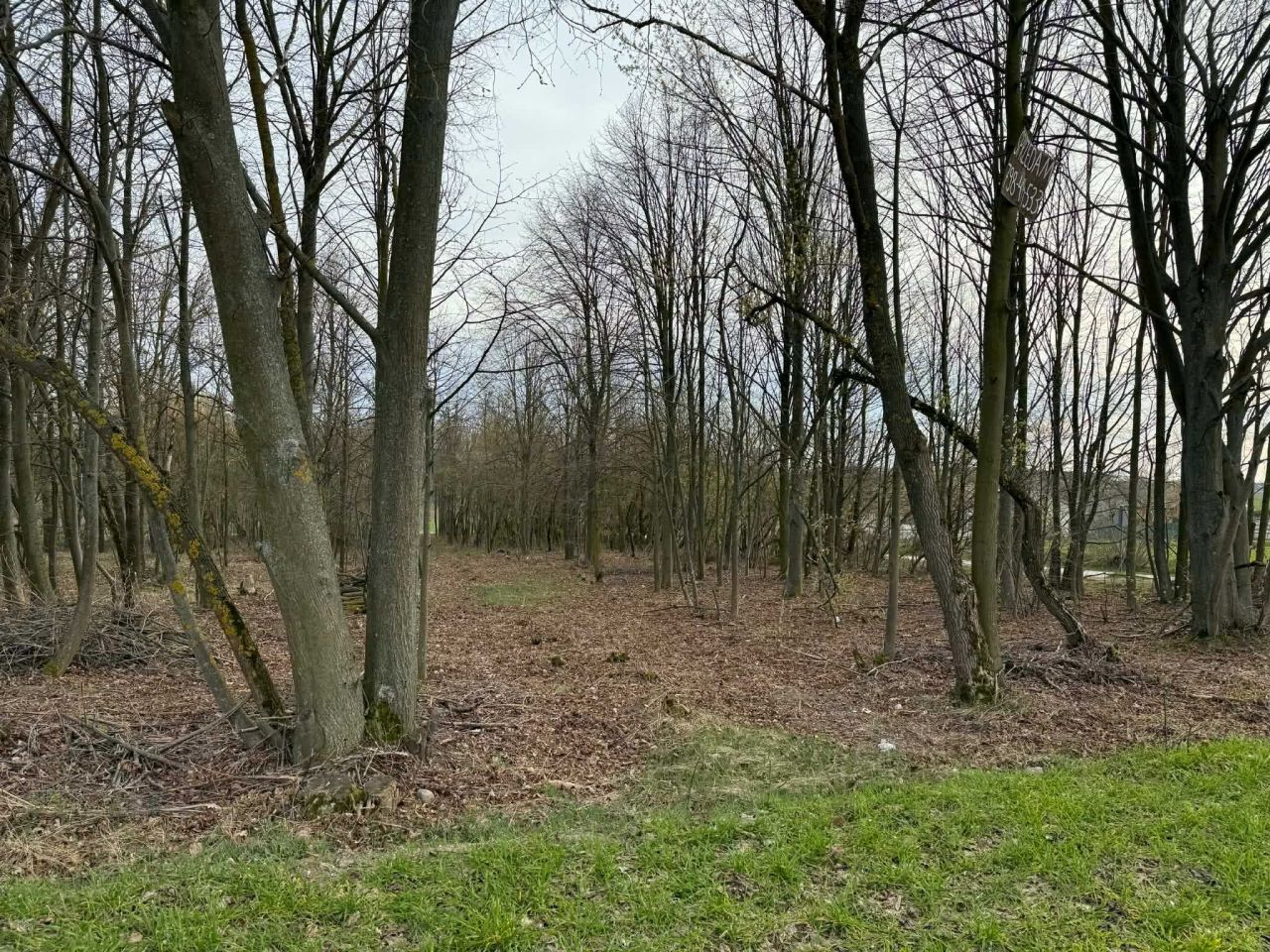 Działka budowlana Pomocnia. Zdjęcie 4