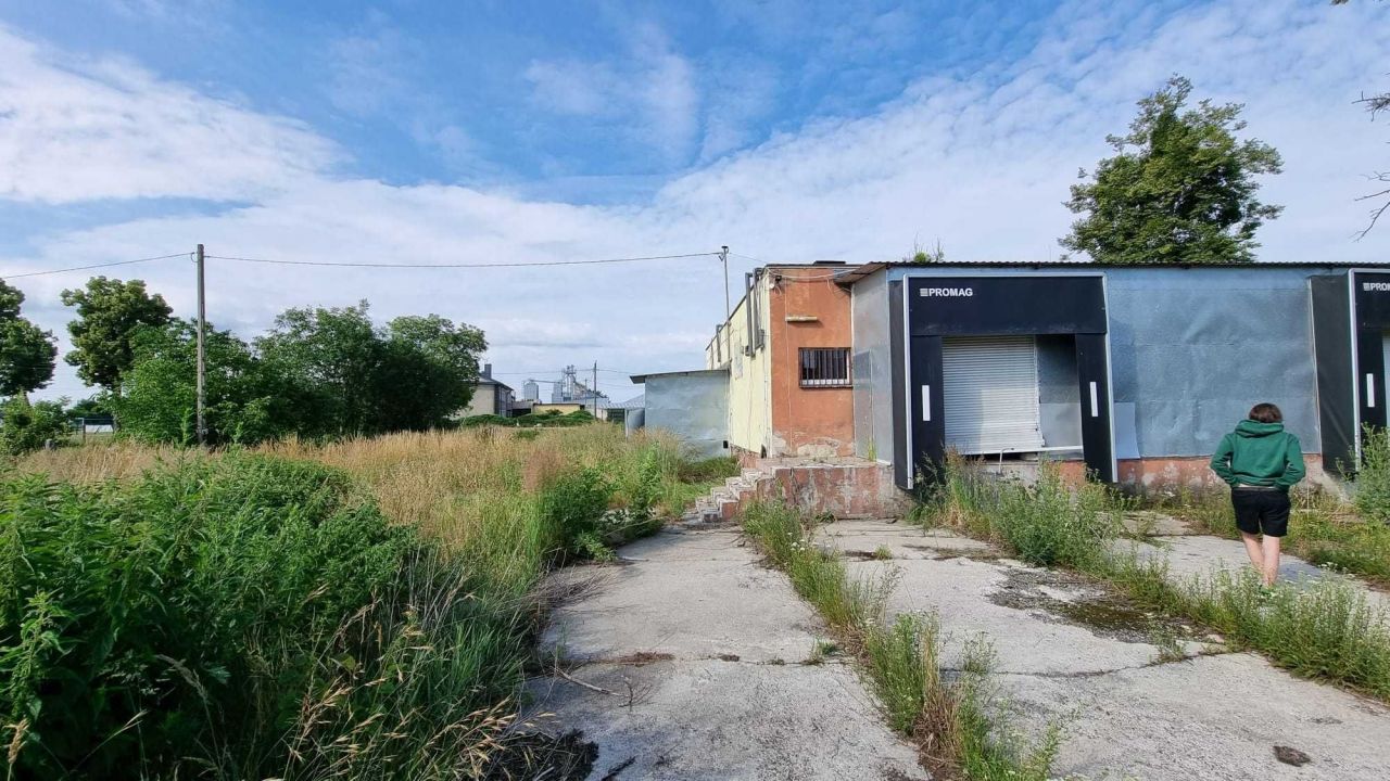 Działka inwestycyjna Krzywizna. Zdjęcie 2