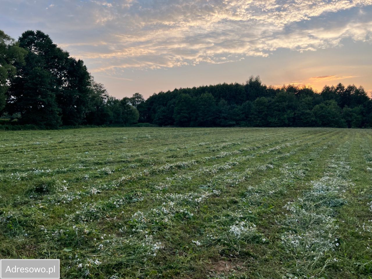 Działka rolno-budowlana Korczyna, ul. Trębacka