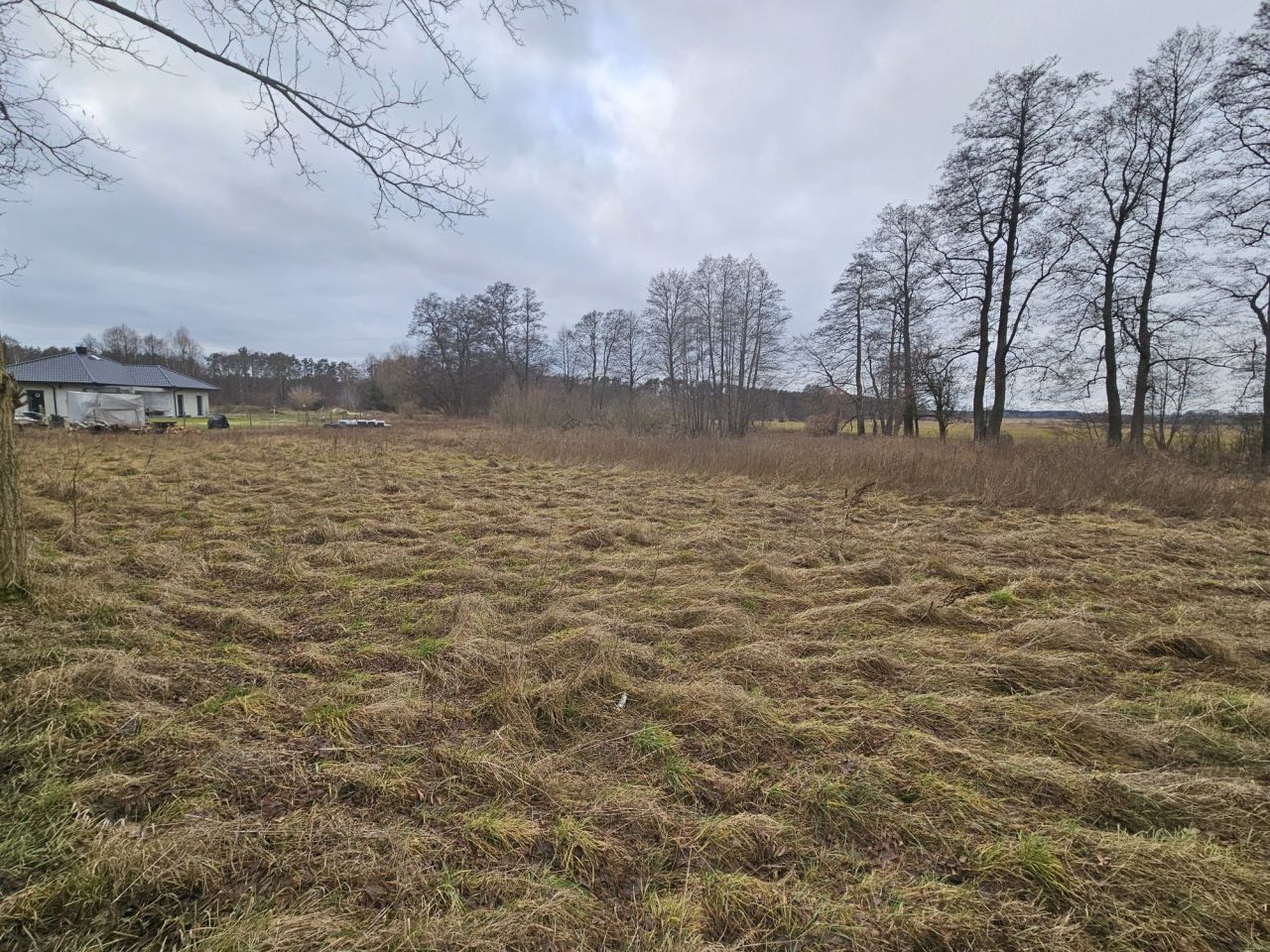 Działka rolno-budowlana Kotuń. Zdjęcie 8