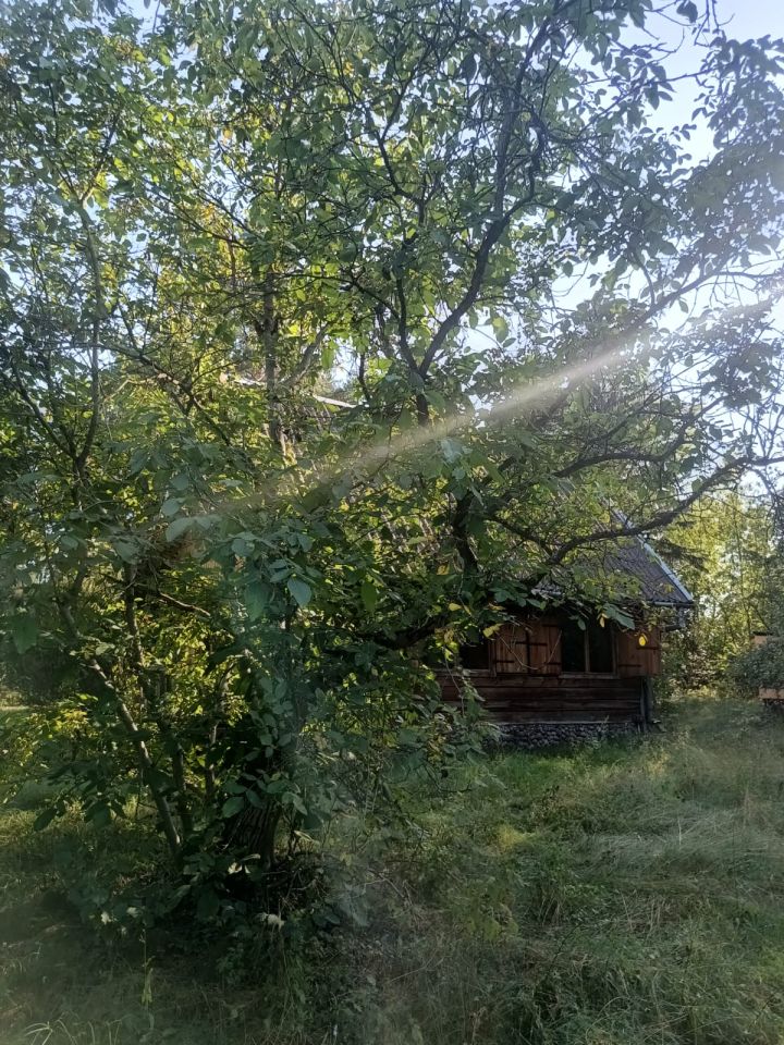 Działka budowlana Łacha, ul. Ogrodowa. Zdjęcie 21