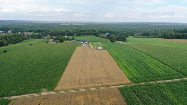 Działka budowlana Pniewo, ul. Szkolna. Zdjęcie 6