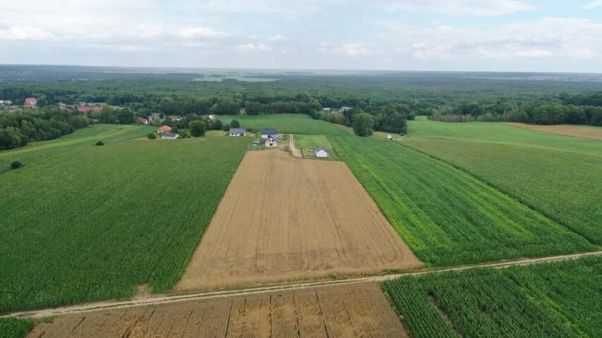 Działka budowlana Pniewo, ul. Szkolna. Zdjęcie 6