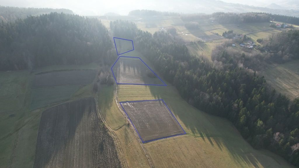 Działka rolna Gródek. Zdjęcie 5