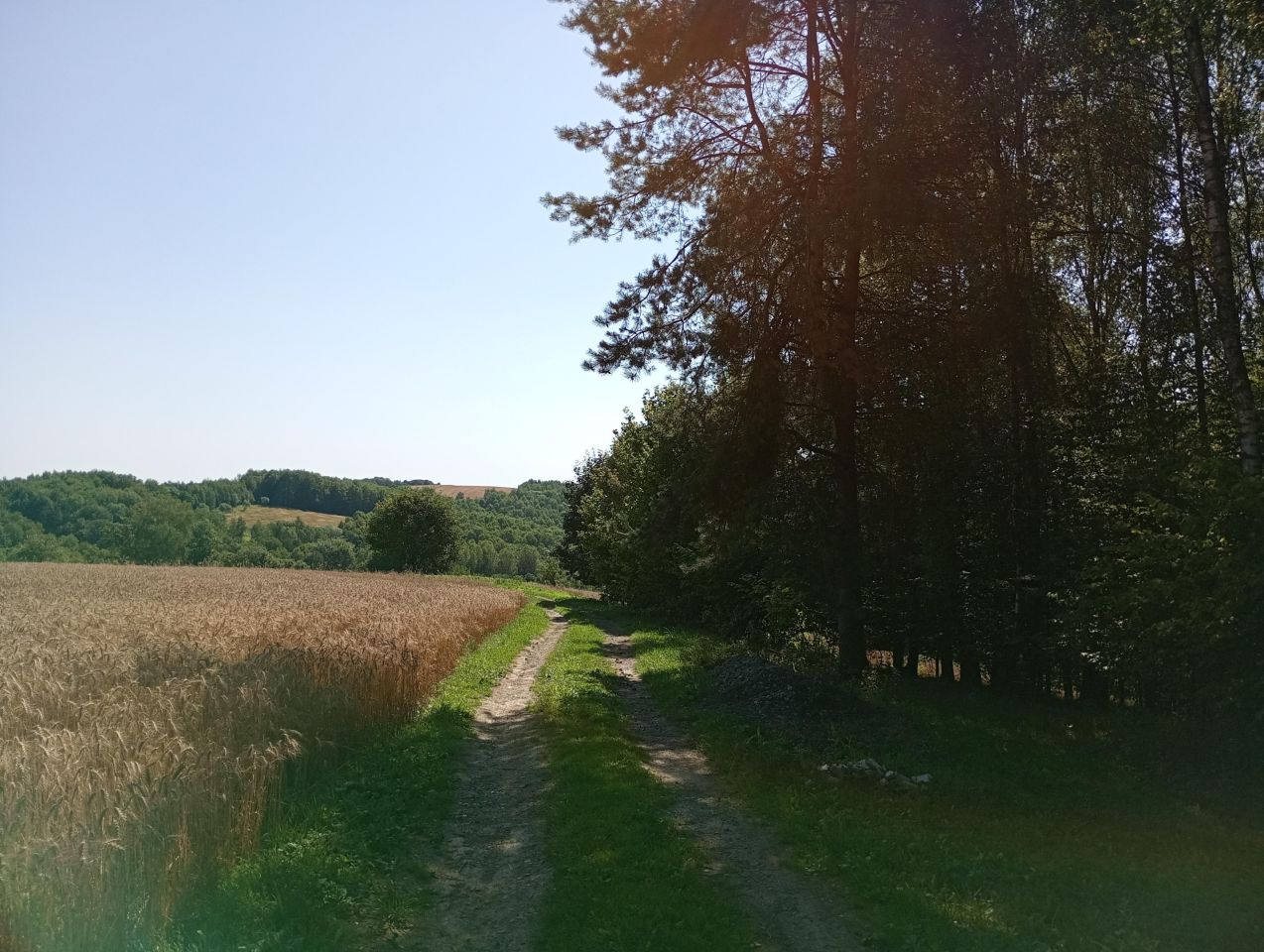 dom wolnostojący, 3 pokoje Komodzianka Budy Pierwsze. Zdjęcie 8