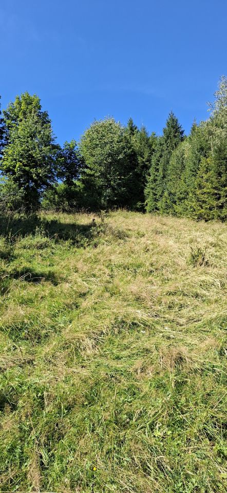 Działka inna Sopotnia Wielka Góra. Zdjęcie 5