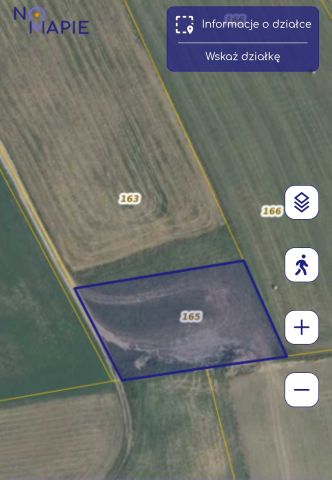 Działka rolna Waplewo. Zdjęcie 1