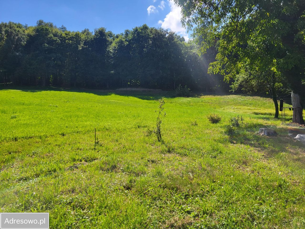 Działka rolno-budowlana Chorągwica. Zdjęcie 5