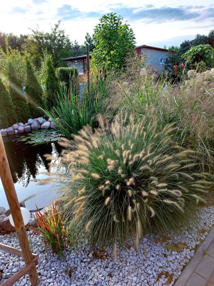 Działka rod Bydgoszcz Biedaszkowo. Zdjęcie 6