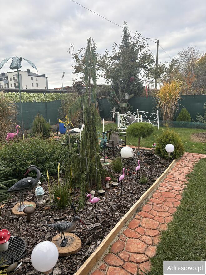 Działka rod Skierniewice. Zdjęcie 2