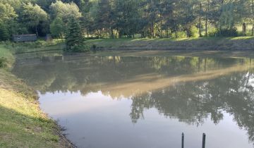 Działka rolno-budowlana Witoszyńce