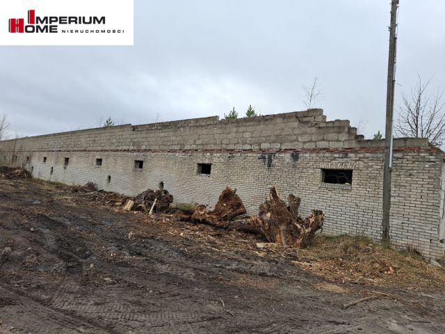 Działka inwestycyjna Chmielno, ul. Jesionowa. Zdjęcie 3