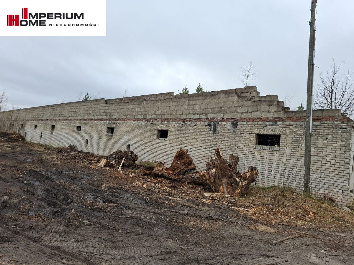 Działka inwestycyjna Chmielno, ul. Jesionowa. Zdjęcie 3