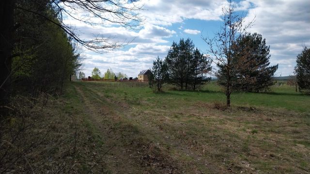 Działka rolno-budowlana Święta Katarzyna. Zdjęcie 1
