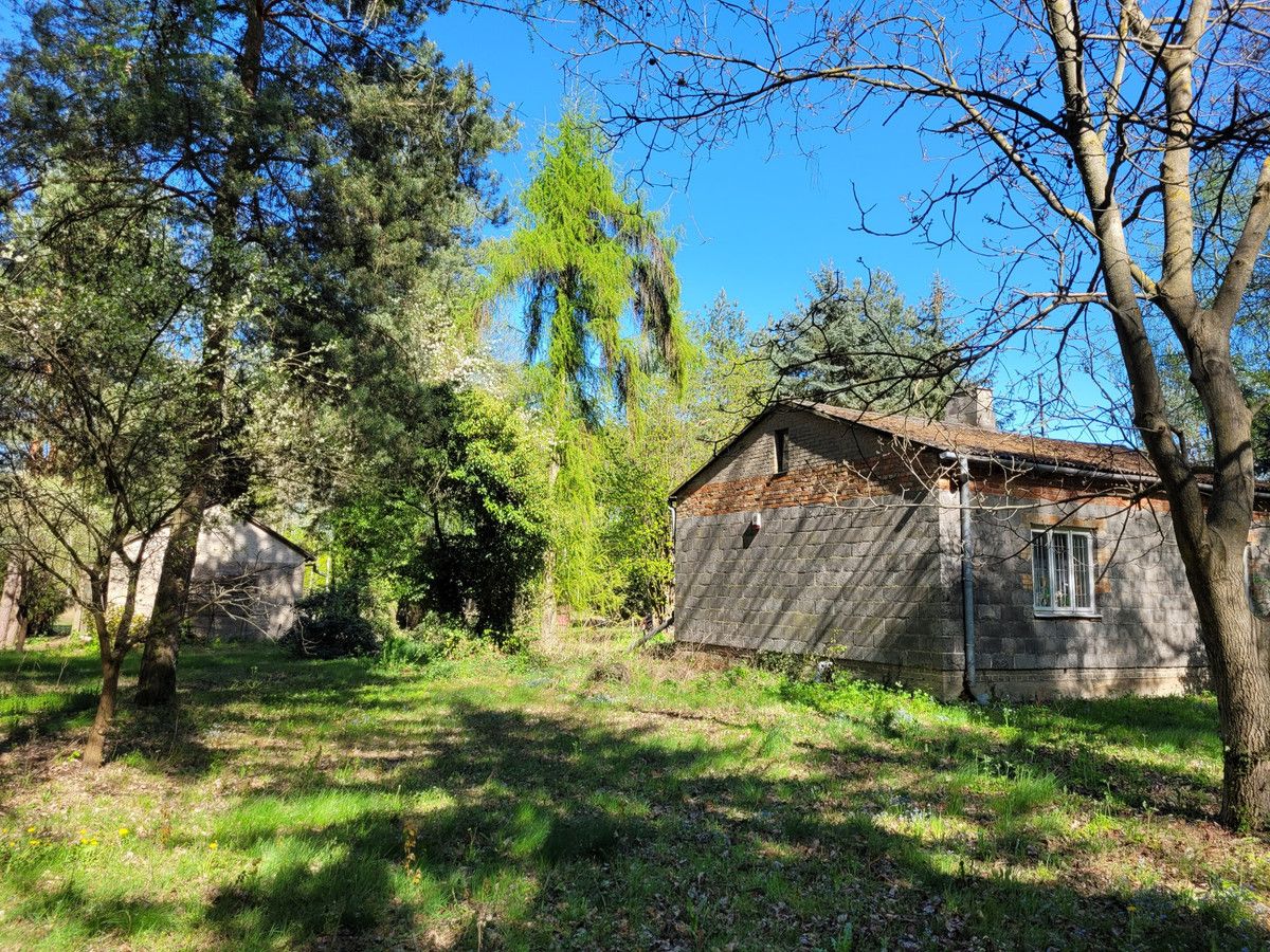 siedlisko Zaręby, ul. Kuropatwy. Zdjęcie 18