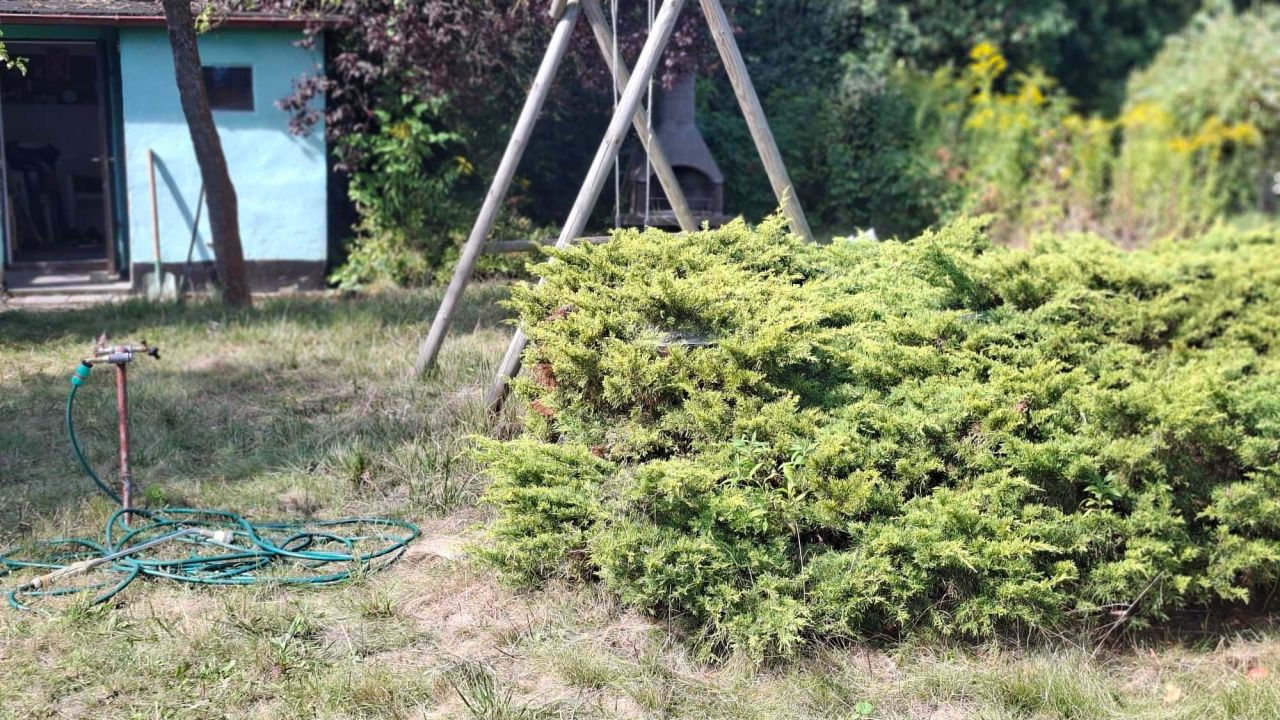 Działka rod Środa Wielkopolska, ul. Wrzesińska. Zdjęcie 5