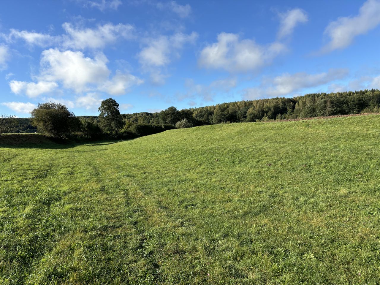 Działka rolna Nietulisko Duże. Zdjęcie 6