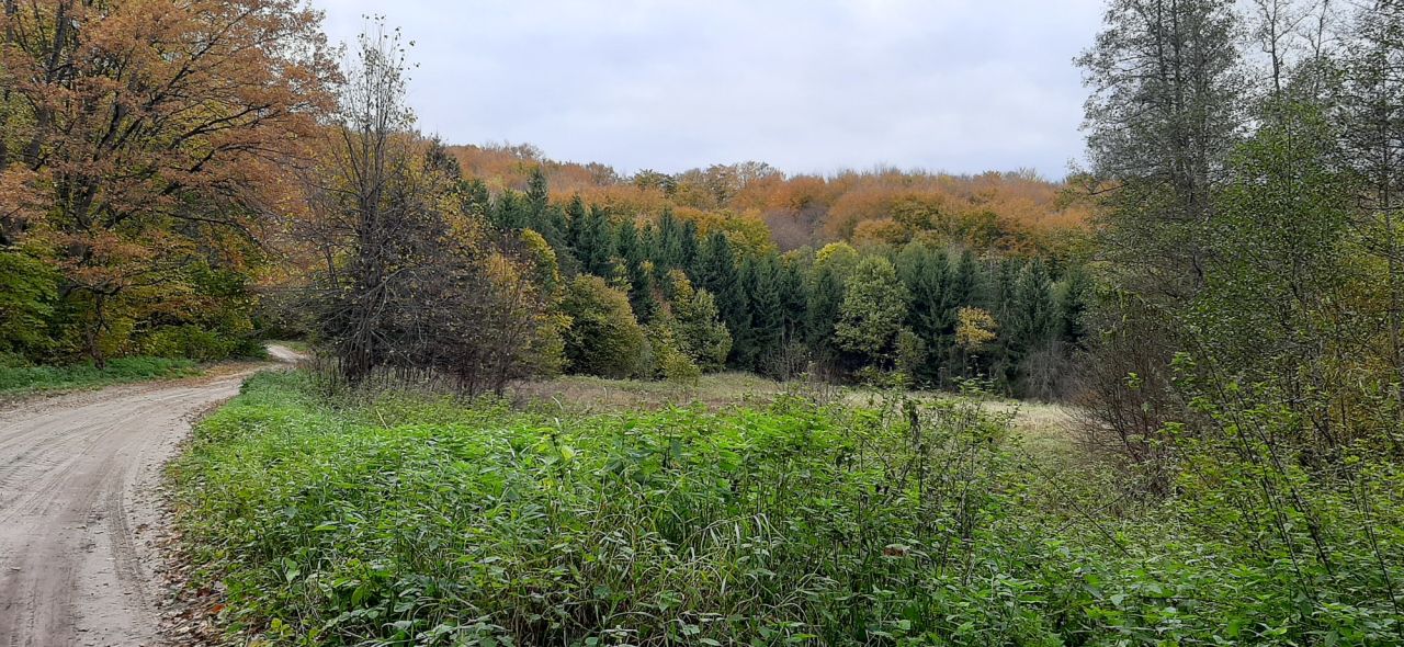 Działka rolno-budowlana Warkałki. Zdjęcie 17