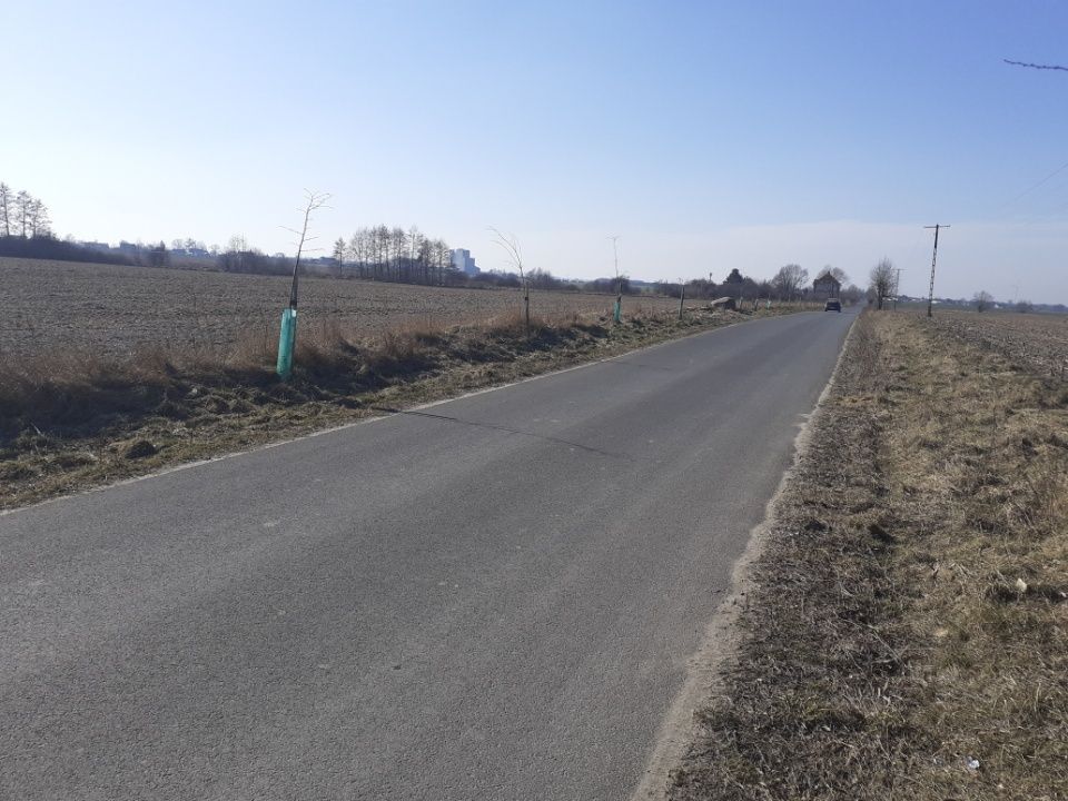 Działka budowlana Gorzewo. Zdjęcie 5