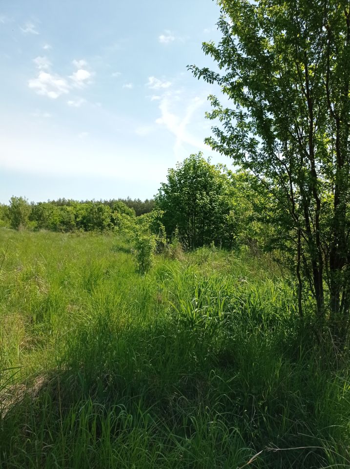 Działka rolno-budowlana Przyłęk Stara Wieś. Zdjęcie 4