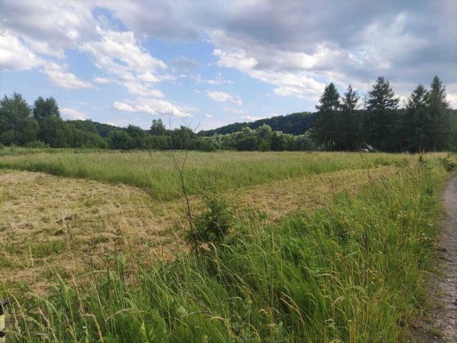 Działka Sanok Olchowce. Zdjęcie 2