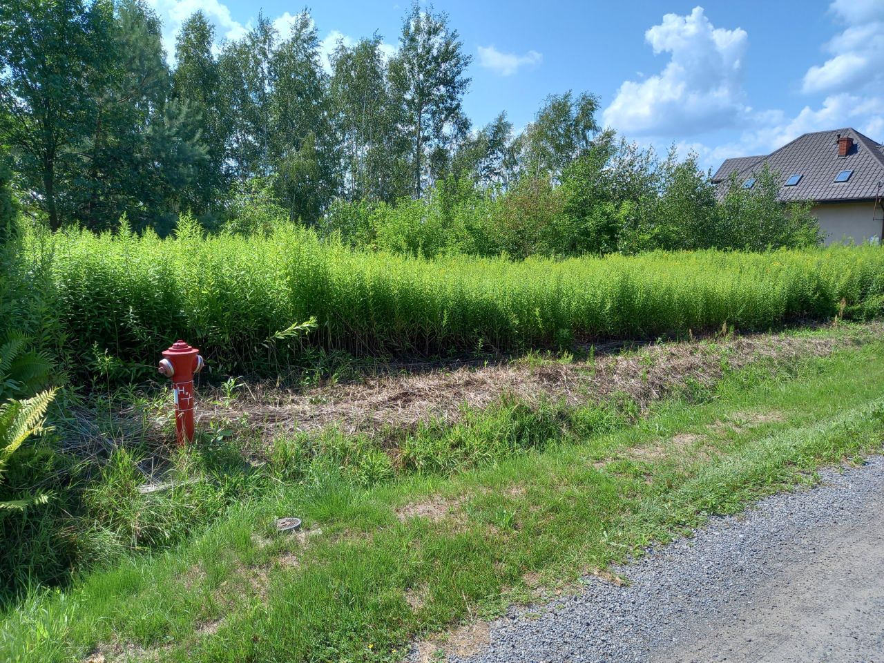 Działka budowlana Emilianów