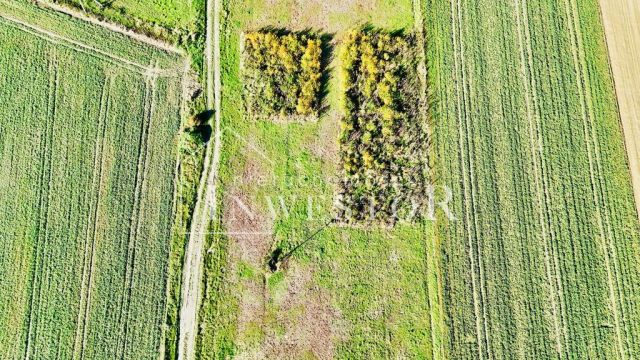 Działka budowlana Zielęcice, ul. Bzowa. Zdjęcie 3