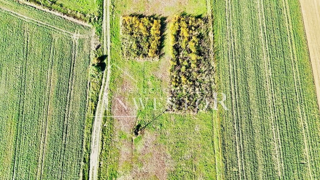 Działka budowlana Zielęcice, ul. Bzowa. Zdjęcie 3