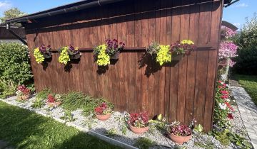 Działka rod Cieszyn Mnisztwo, ul. Tysiąclecia