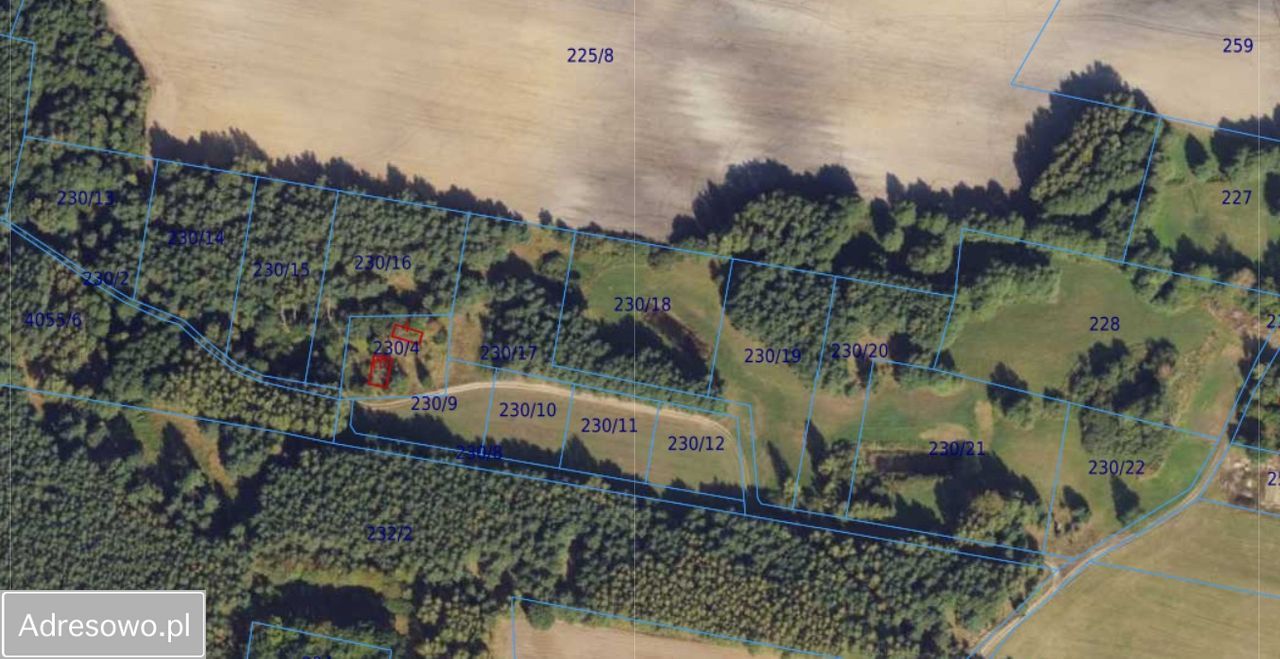 Działka siedliskowa Zalesie Królewskie. Zdjęcie 4