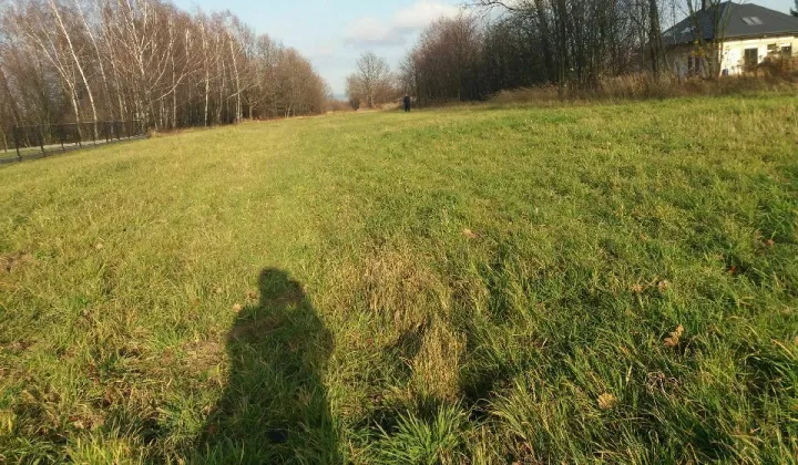 Działka budowlana Szczepańcowa, ul. Miodowa