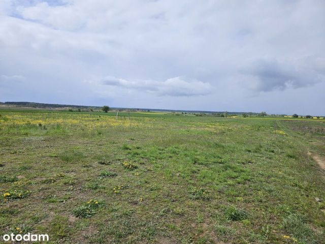 Działka budowlana Moryń. Zdjęcie 2