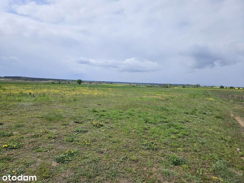 Działka budowlana Moryń. Zdjęcie 2