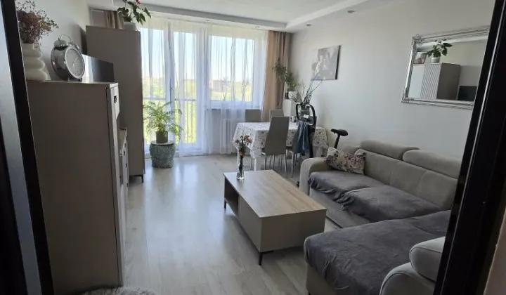 Mieszkanie 3-pokojowe Knurów