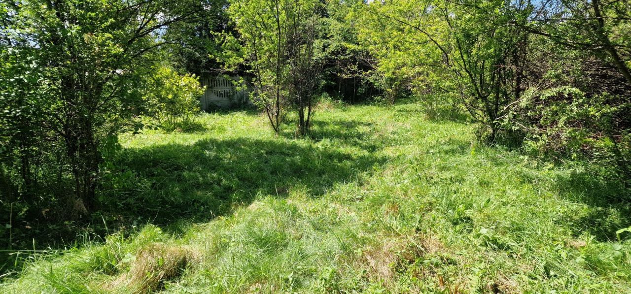 Działka budowlana Rokitno Szlacheckie. Zdjęcie 6