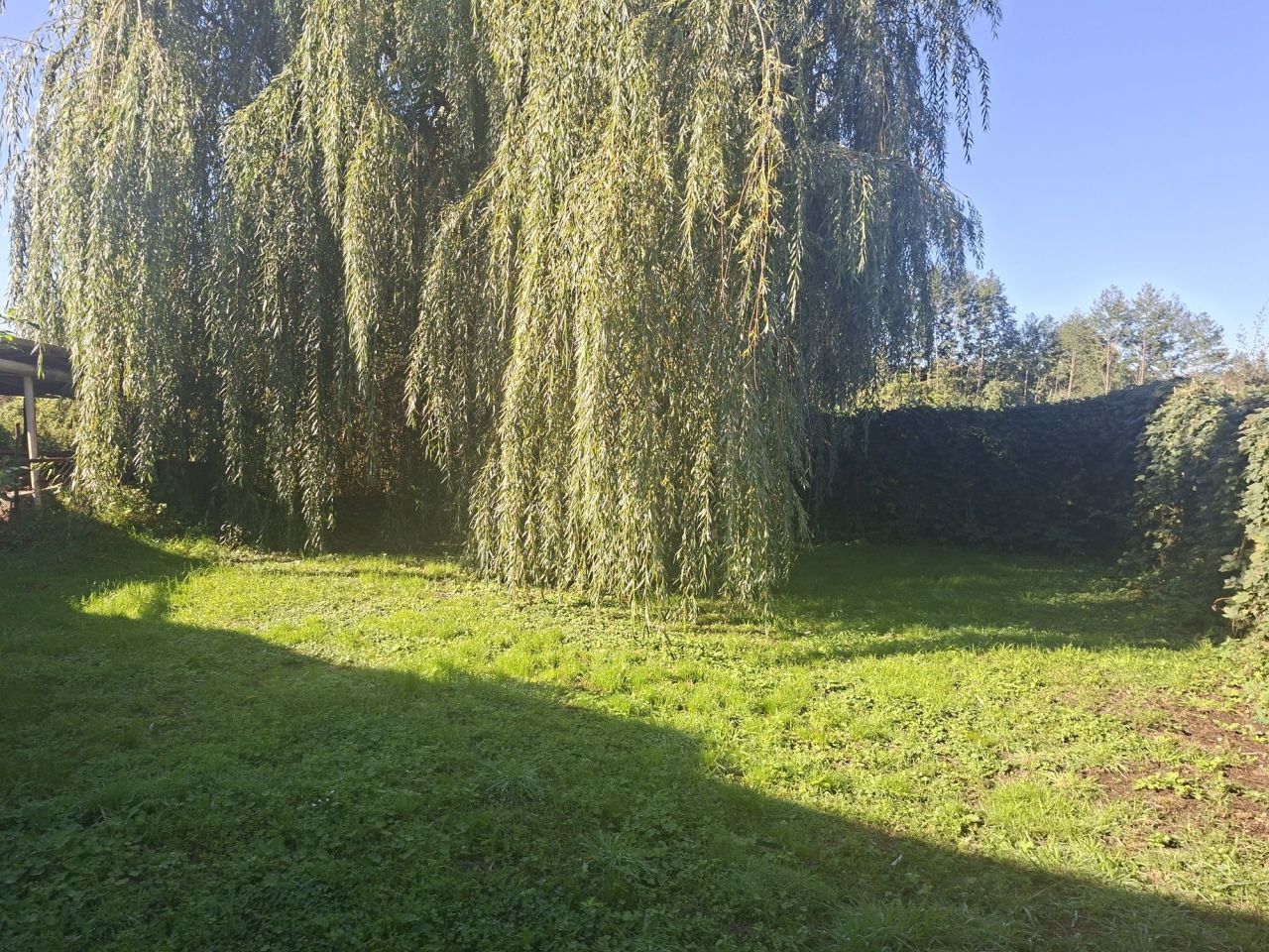 dom wolnostojący Droszków. Zdjęcie 8