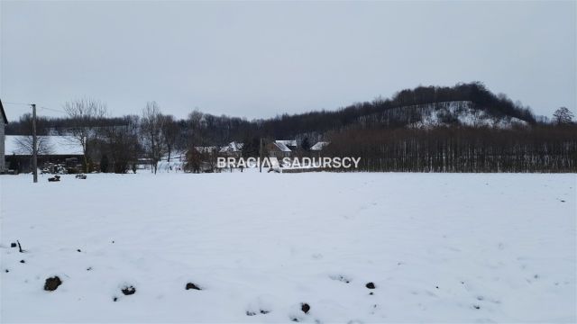 Działka rolna Polekarcice. Zdjęcie 9