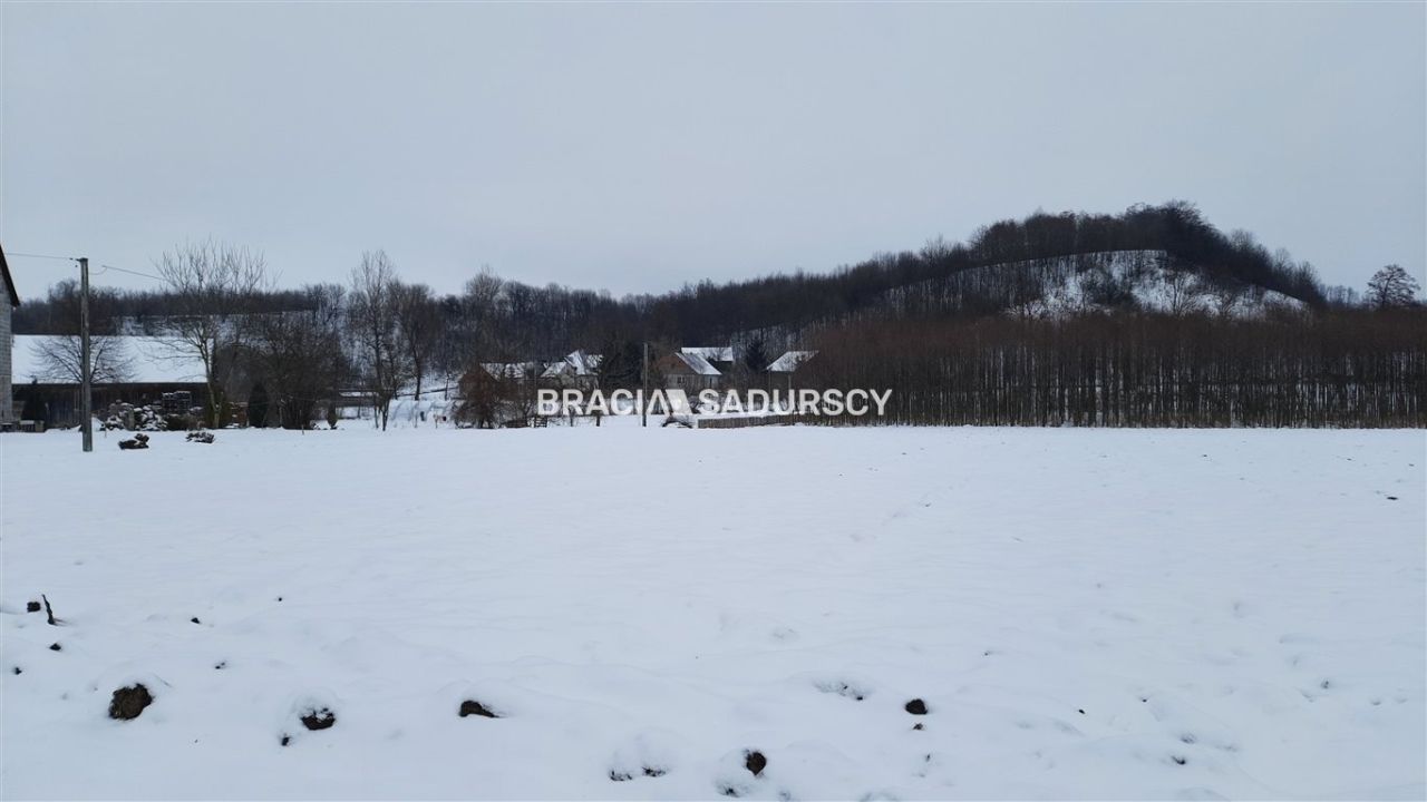 Działka rolna Polekarcice. Zdjęcie 9