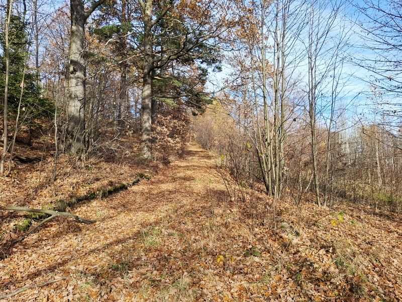 Działka rolna Głębock. Zdjęcie 6