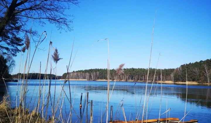 Działka rekreacyjna Samociążek, Olimpijska
