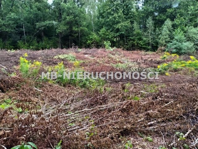 Działka siedliskowa Mątki. Zdjęcie 3