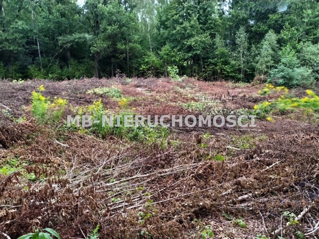 Działka siedliskowa Mątki. Zdjęcie 3