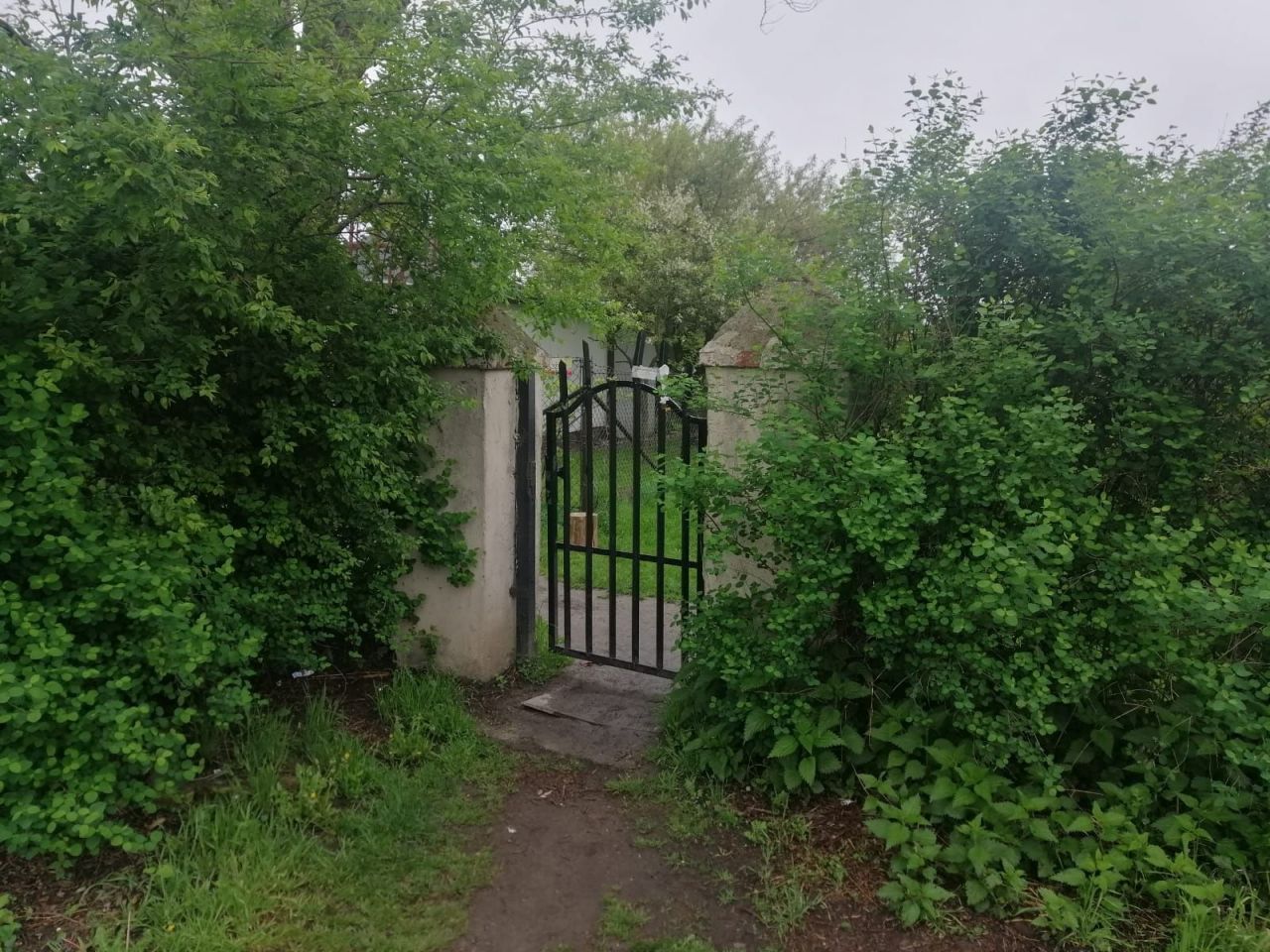 Działka rod Jastrzębie-Zdrój. Zdjęcie 2