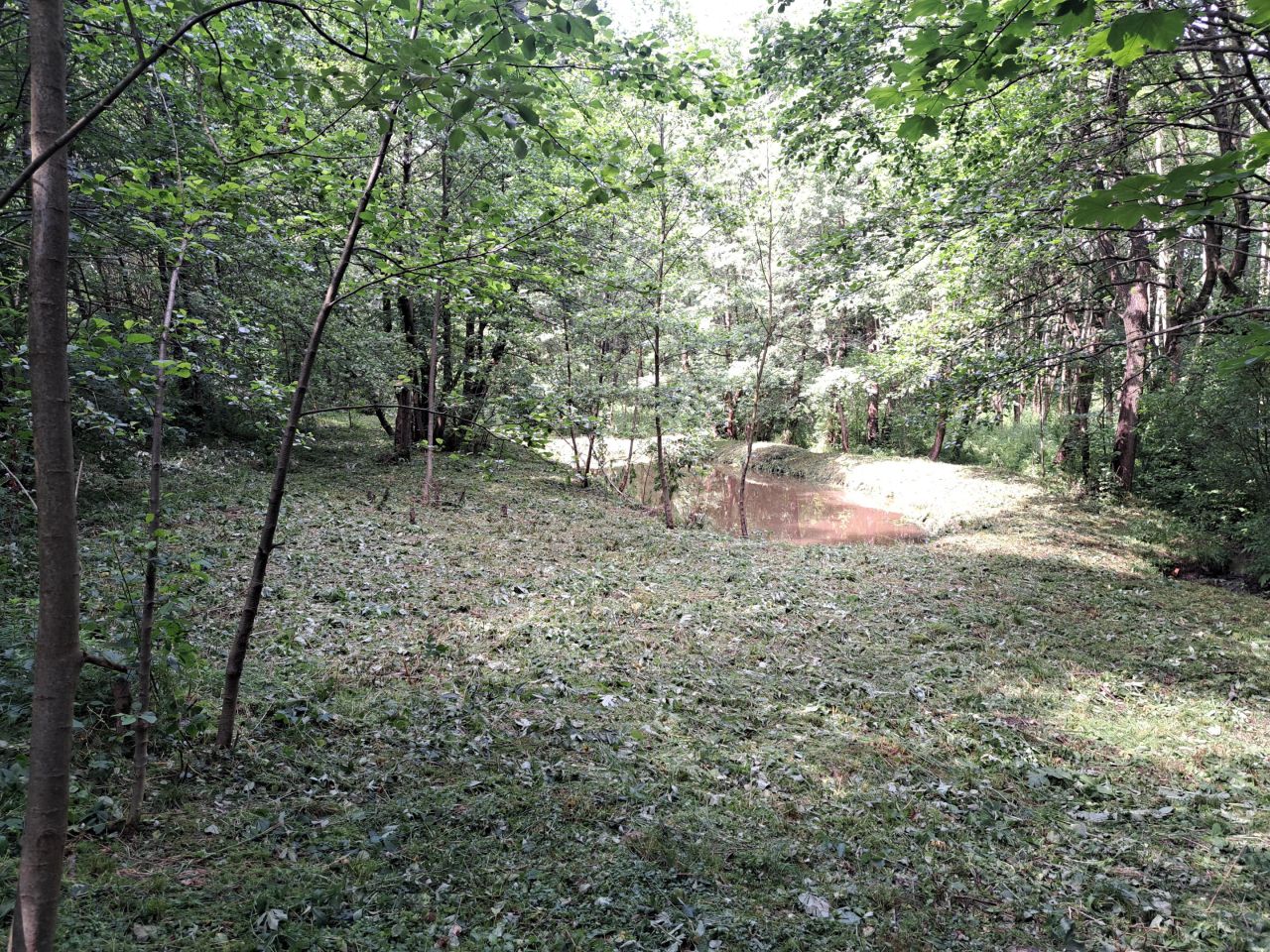 Działka rolno-budowlana Kolonia Gorzków. Zdjęcie 7