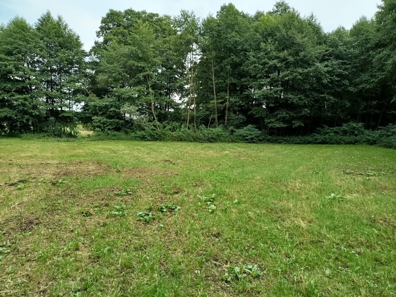 Działka rolno-budowlana Ogorzelczyn. Zdjęcie 9