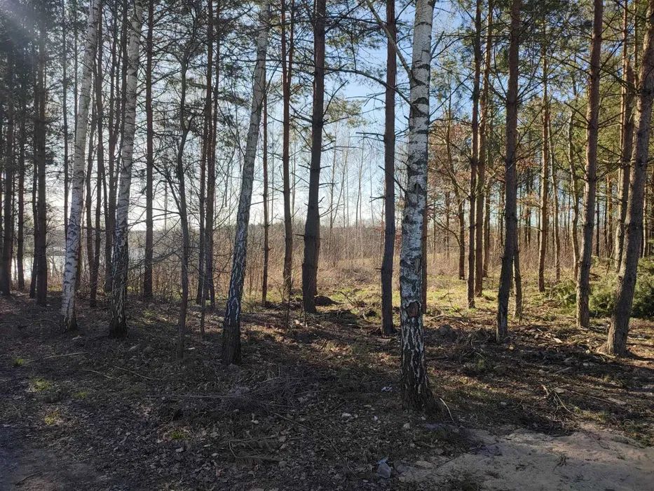 Działka budowlana Skarpa. Zdjęcie 5